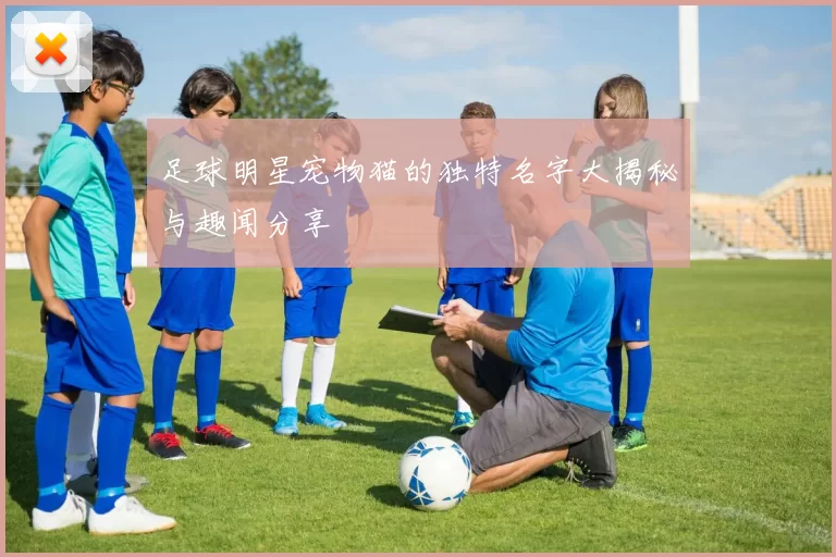 足球明星宠物猫的独特名字大揭秘与趣闻分享
