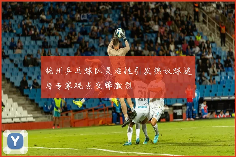杭州乒乓球队灵活性引发热议球迷与专家观点交锋激烈
