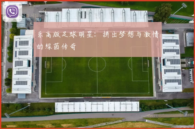 乐高版足球明星：拼出梦想与激情的绿茵传奇