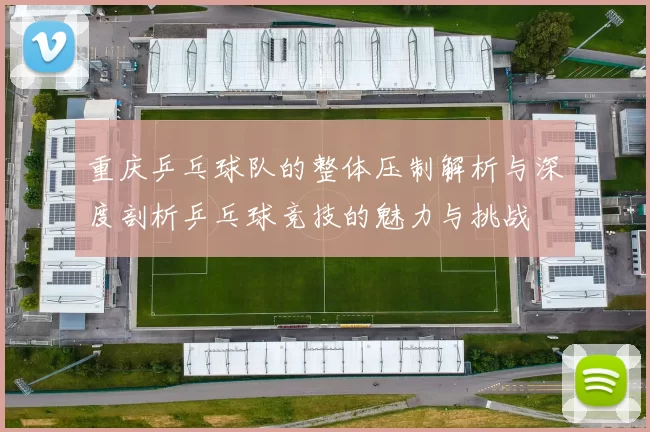 重庆乒乓球队的整体压制解析与深度剖析乒乓球竞技的魅力与挑战