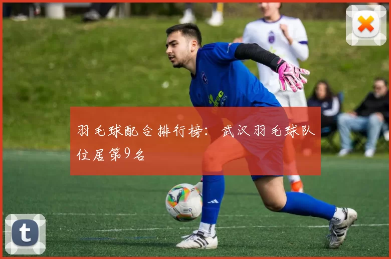 羽毛球配合排行榜：武汉羽毛球队位居第9名