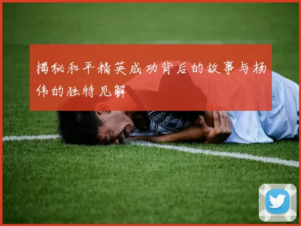 揭秘和平精英成功背后的故事与杨伟的独特见解