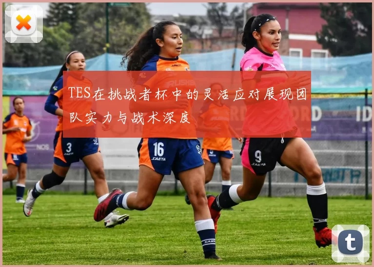 TES在挑战者杯中的灵活应对展现团队实力与战术深度