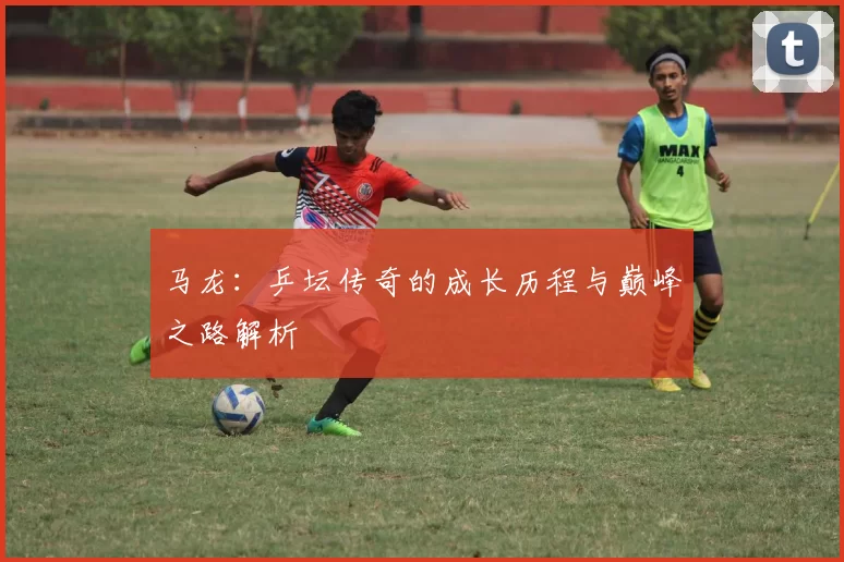 马龙：乒坛传奇的成长历程与巅峰之路解析