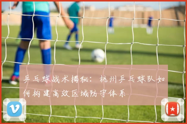 乒乓球战术揭秘：杭州乒乓球队如何构建高效区域防守体系