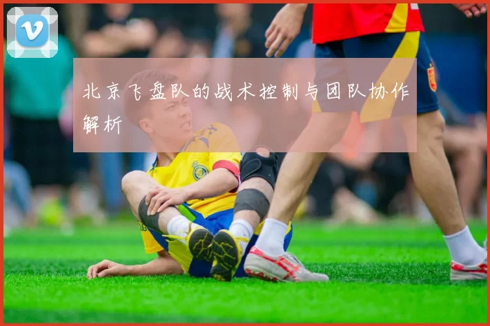 北京飞盘队的战术控制与团队协作解析
