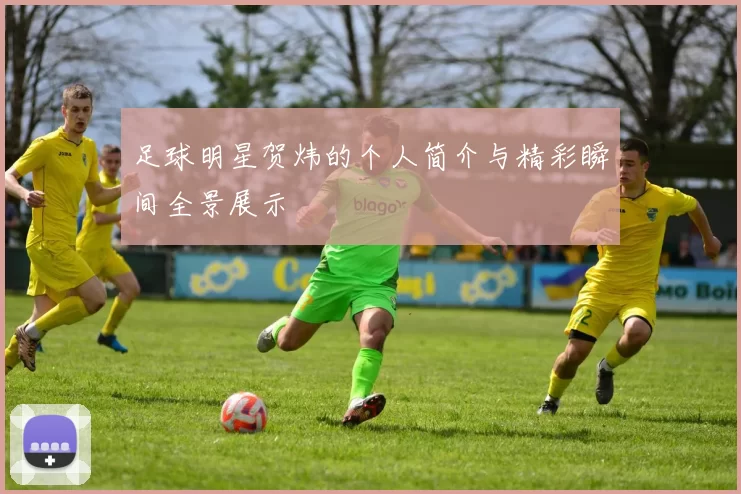 足球明星贺炜的个人简介与精彩瞬间全景展示