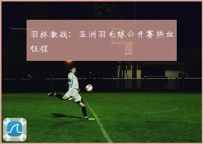 羽林激战：亚洲羽毛球公开赛热血征程