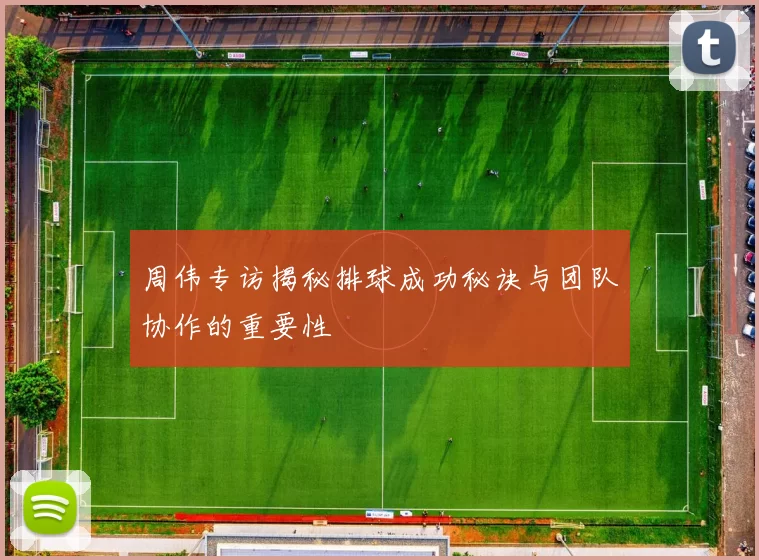 周伟专访揭秘排球成功秘诀与团队协作的重要性