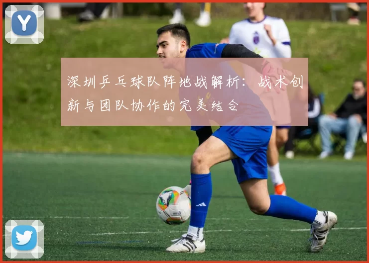 深圳乒乓球队阵地战解析：战术创新与团队协作的完美结合