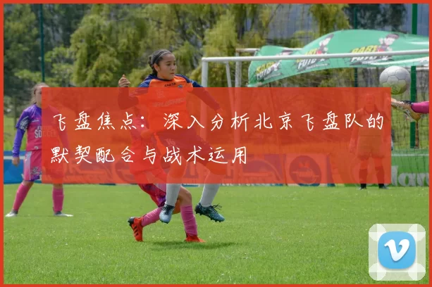 飞盘焦点：深入分析北京飞盘队的默契配合与战术运用
