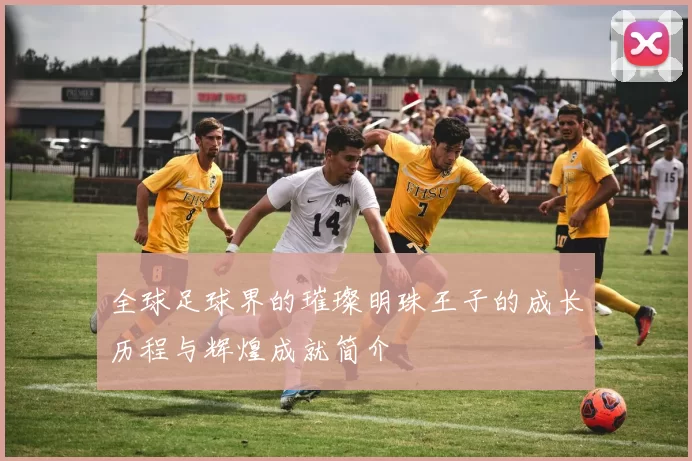 全球足球界的璀璨明珠王子的成长历程与辉煌成就简介