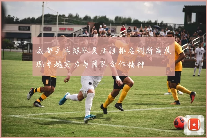 成都乒乓球队灵活性排名创新高展现卓越实力与团队合作精神