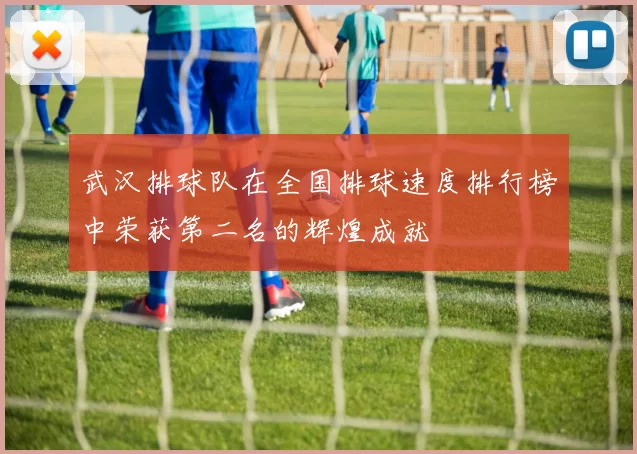武汉排球队在全国排球速度排行榜中荣获第二名的辉煌成就