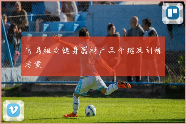 飞鸟组合健身器材产品介绍及训练方案